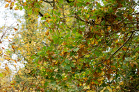 Millbrook Monthly Photos