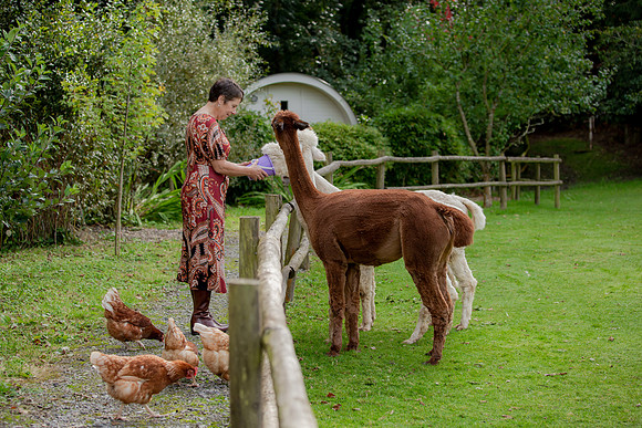 keyte-421