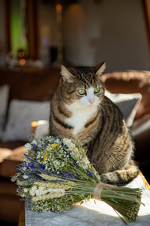 sr-49